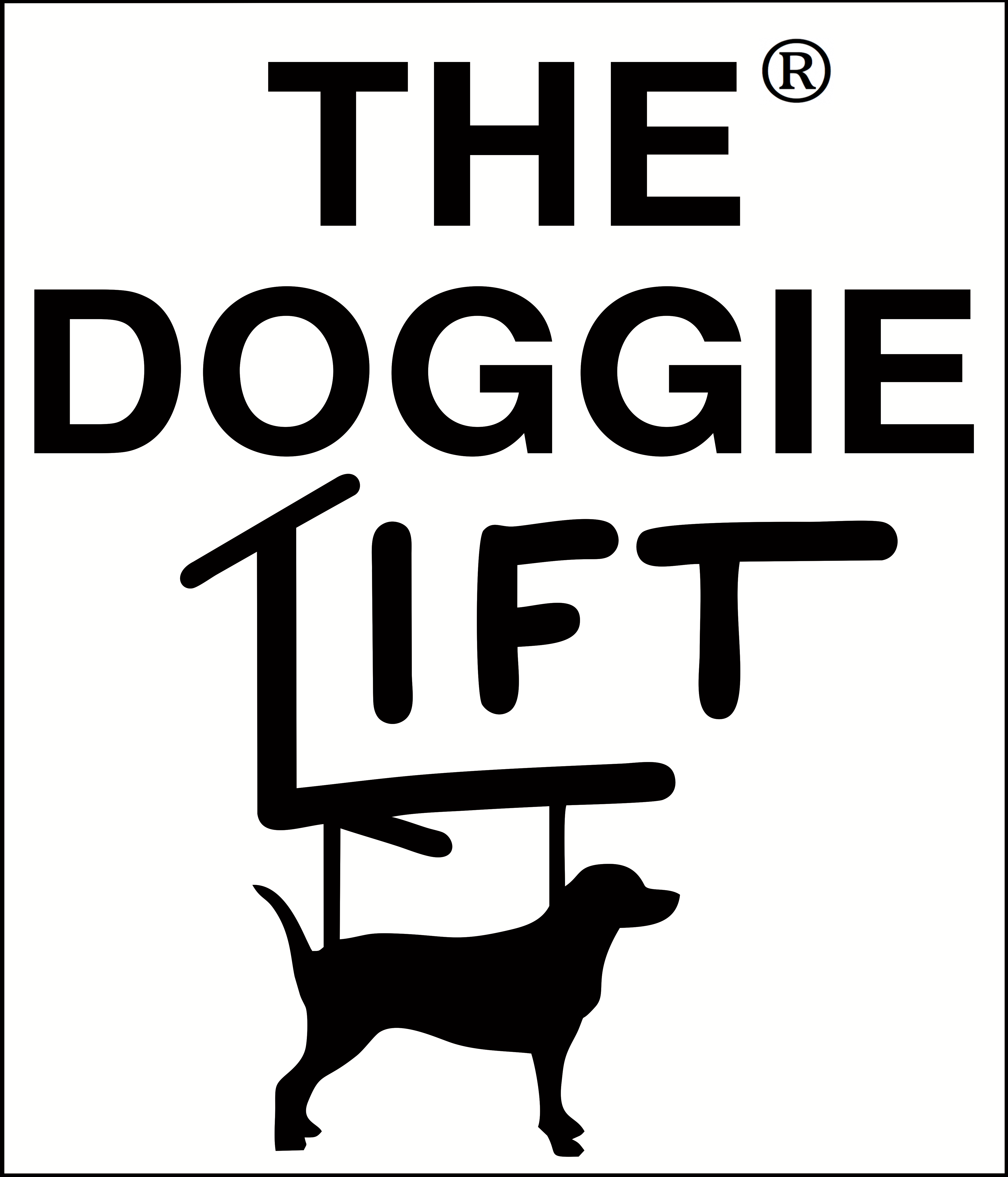 The Doggie Lift
